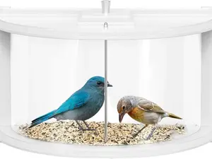 Cosmo Supply Indoor Window Bird Feeder - Clear Acrylic Design, Easy Assembly, Suitable for Single or Double-Hung Windows, Includes Sealing Foam Tape
