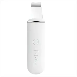 Blackhead removal device, ultrasonic peeler, beauty device, pore cleaning and facial cleansing device