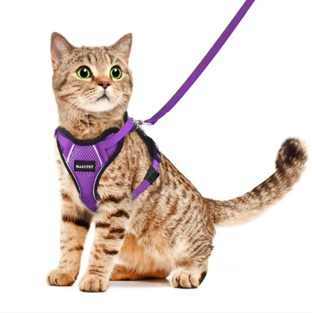 Halypet Escape-Proof Cat Harness with Leash Set - Durable, Reflective, Breathable Mesh, Security Lock, Dual Protection Outdoor Accessory (Multi-Size, Leash Included), S
