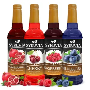 Syruvia Fruit Flavors Variety Pack – Pomegranate, Cherry, Raspberry & Blueberry Syrup – Perfect for Cocktails, Lemonade, Iced Tea & Beverages – 25.4 Fl oz Bottles (4 Pack)