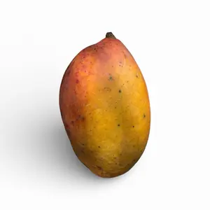 Pickering mango crafted  tree 3 gal