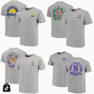 [Sale off 50%] Custom University Graphic Mascot Overlay All Team 2 Side Grey COLOR T-shirt, Vintage Graphic Tee, Sport Fan Gift Shirt, Men's Oversized Athletic T-shirt, College Shirt, Men's Regular Fit Graphic T-shirt, Football Tee 1WX