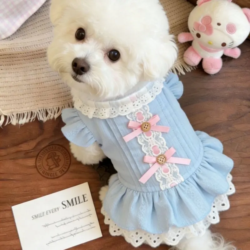 Soft Cotton Pet Sundress, Princess Lace Harness with Ruffle Hem, Breathable Thin Fabric for Small Breeds, Elegant Puppy Clothes for Daily Wear & Parties, Cute Clothing