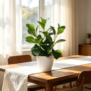1pc Small Artificial Greenery Plant in White Ribbed Pot, Budget-Friendly Faux Potted Greenery Plant Fake Peperomia Plant, No Maintenance Tabletop Decor for Home|Office, Artificial Plants for Home Decor