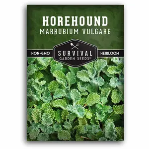 White Horehound Seed - Marrubium