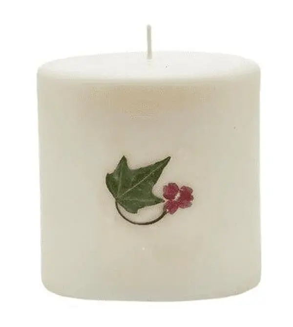 RED CURRANT & CRANBERRY Rosy Rings 3.5 Inch 80 Hour Pillar Botanical Scented Candle