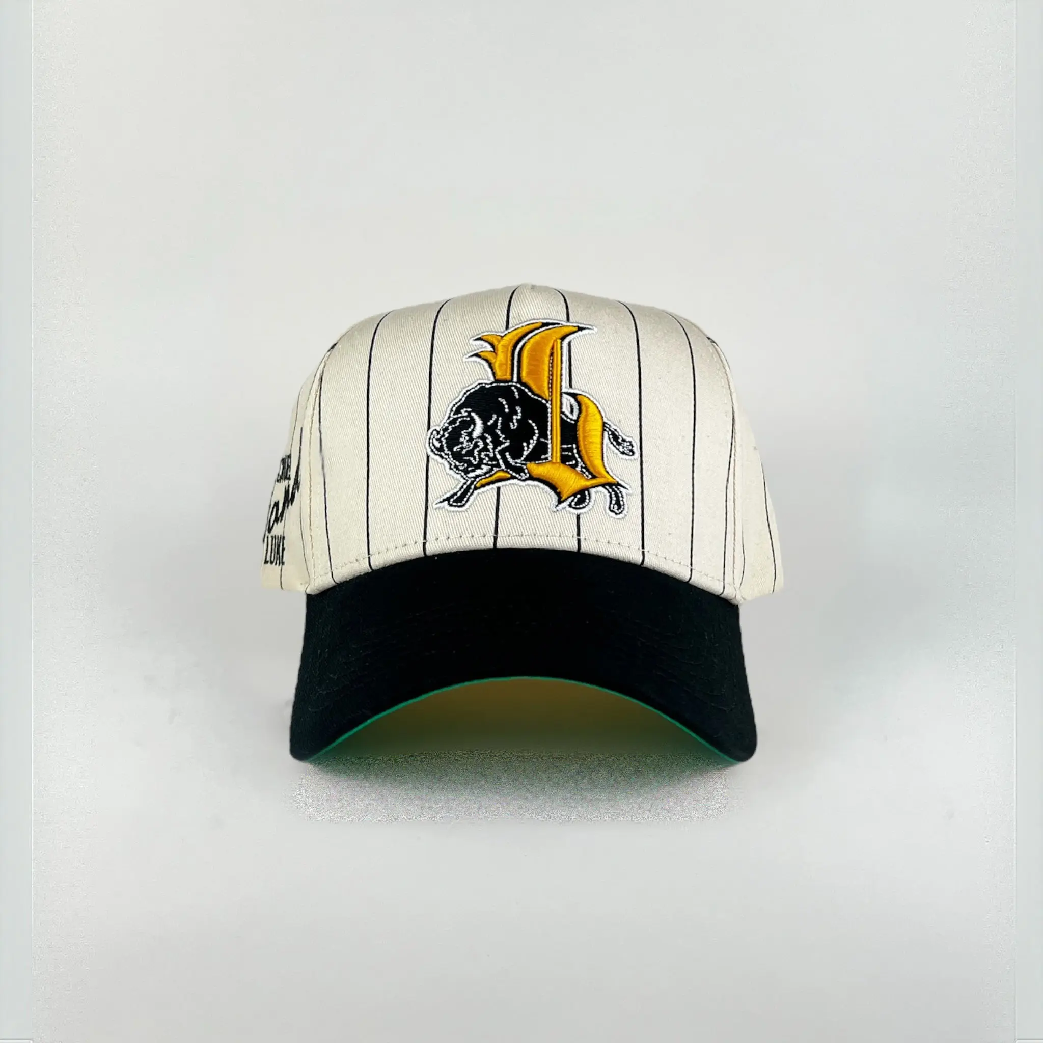 BISON Pinstripe Snapback