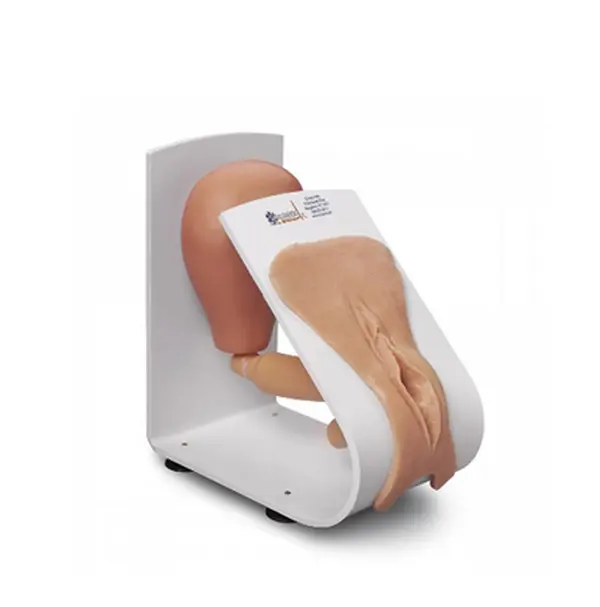 Simulaids Female Catheterization Training Model