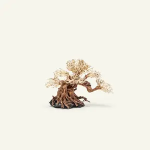 Bonsai Tree Aquarium Driftwood - Natural Wood for Aquarium, Terrarium, Aquarium Tree, Aquascape, Betta Fish Tank, Planted Tank Bonsai Trees