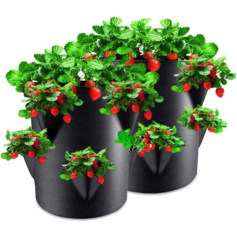 Strawberry Grow Bags