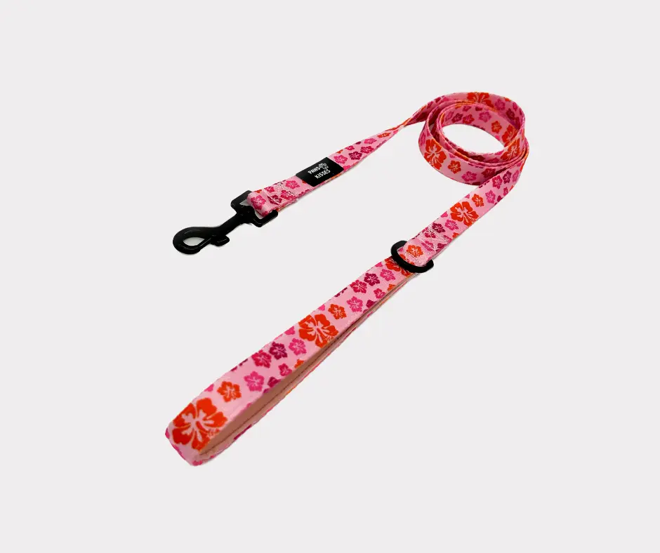 Malibu Leash