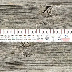 DELAWARE STATE WATERS SALT WATER RULER 50 INCH FISH ID AND STATE REGULATIONS FISH RULER DECAL