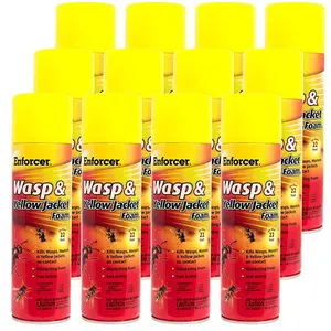 Wasp & Yellow Jacket Foam
