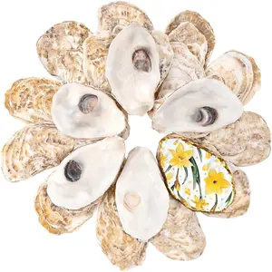 30Pcs Flat Oyster Shells for Crafts, 3-4 Inch Cleaned Natural Oyster Shells for Decoupage Painting Vase Filler Wedding DIY Decor Coastal Christmas Seashells Art