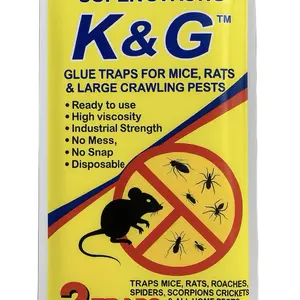 K&G Glued Mouse Trap with Peanut Sent - Ready to Use High Viscosity Industrial Strength Disposable Trap for Mice Rats & Large Crawling Pests