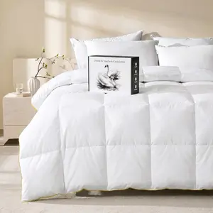 Lightweight Goose  Down Fiber Comforter  Size, Duvet Insert with Soft Downproof Cover for Summer/Hot Sleepers, Hotel-Luxury  Bed Comforter with Corner Tabs (104"X88", White)