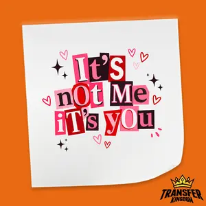 It’s Not Me It’s You - Valentine's Day DTF Heat Transfer Sheet