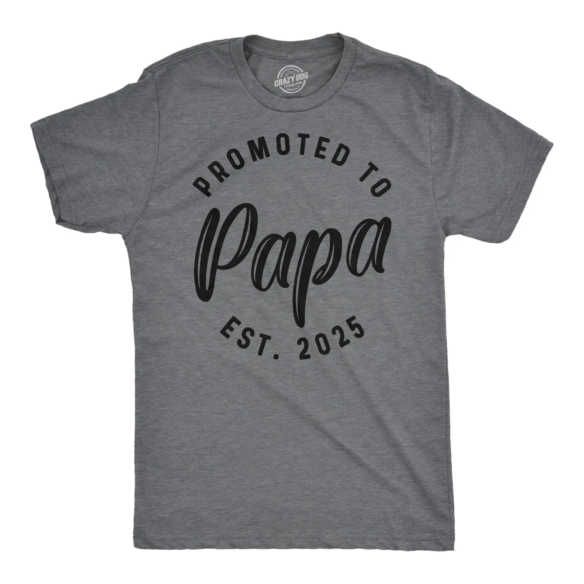 Mens Funny T Shirts Promoted to Papa 2025 Sarcastic Family New Baby Graphic Tee for Men Mens Funny T Shirts Cool Vintage Fashion T-Shirt Gift Classic Menswear Dad Joke Apparel for Men Funny Grandpa Short Sleeve Dark Grey