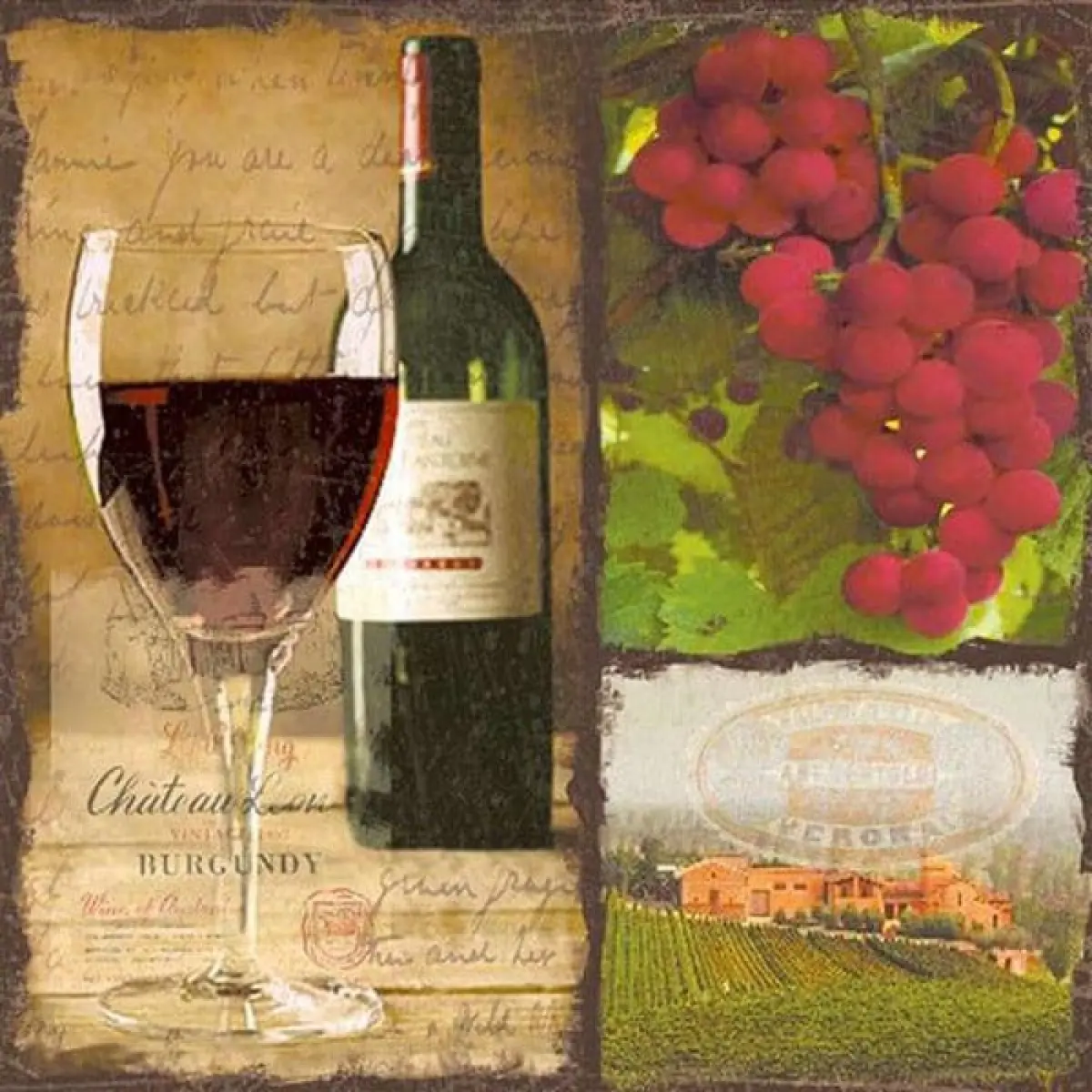 MDR Trading Inc. AP-NAP5564Q01 Pack Of 20 Luncheon Size Wine And Grapes Pattern Napkins