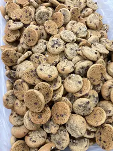 Ginger's Mini Lactation Cookies - Sea Salt Chocolate Chip, Fresh Baked with Galactagogues, Soft Chewy Breastfeeding Snack