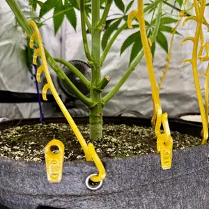 No Grommet No Problem [NGNP] Pack | Complete Plant Training Kit | Patent Pending