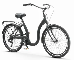 Simple  Step-Thru bicycle