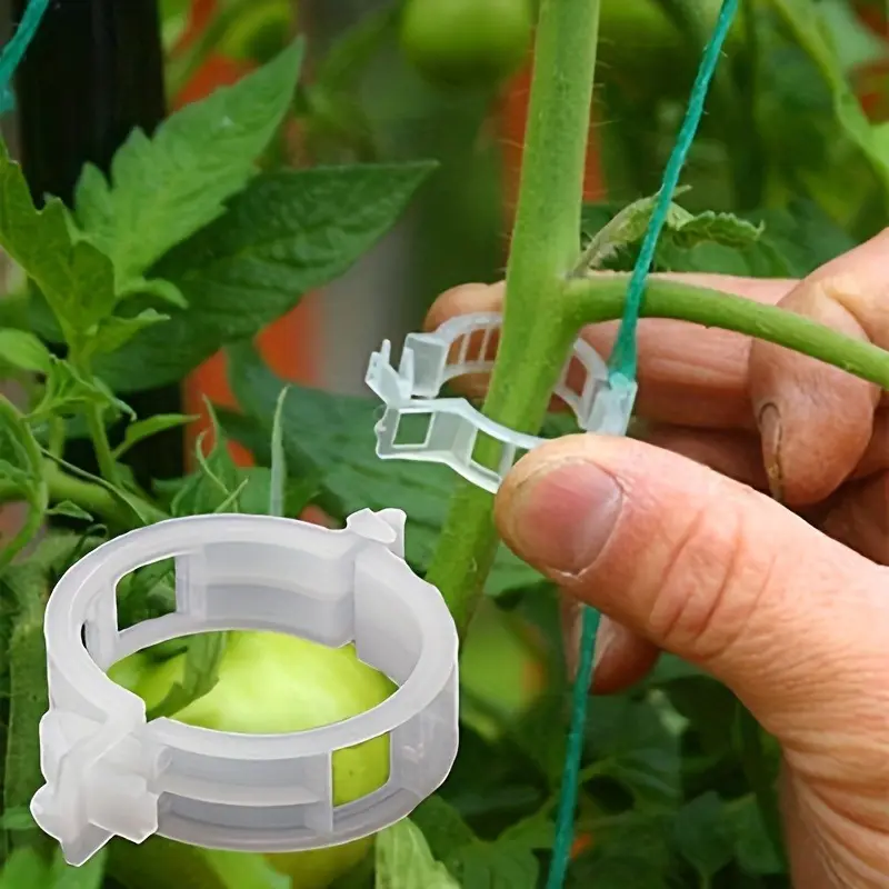 50pcs of Sturdy Plastic Clips for Supporting, Securing Plants - Simple Snap-On Design, Reusable Ties for Garden Trellises Ideal for Vegetables and Climbing Plants - Durable and Weatherproof Tools for Training Assistance, Climbing Plants