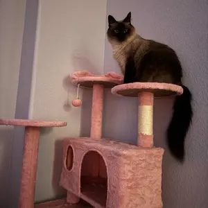 review image 8