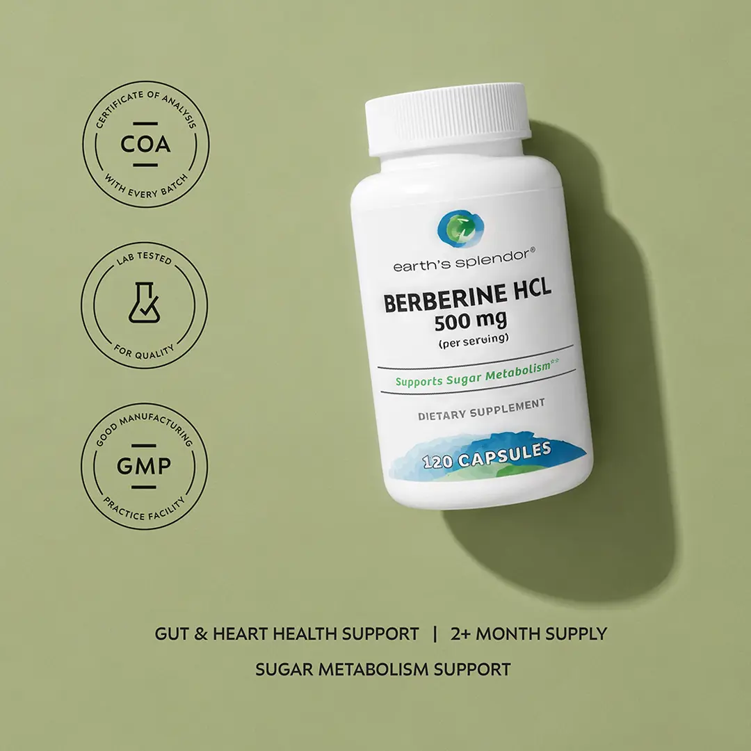 Berberine HCL 500mg Edible Herbal Wellness Capsules - 1 Bottle (120 Count, 12-Month Supply) by Contract Pharmacal Corp, Adult Healthcare Supp for Sugar Balance, Gut Health (Desinflamar el Estómago Support)