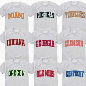 Vintage College Crewneck T-Shirt – Ash Grey, Custom University Team, Game Day Shirt, Retro Varsity Style, Unisex Heavy Blend, Menswear & Womenswear