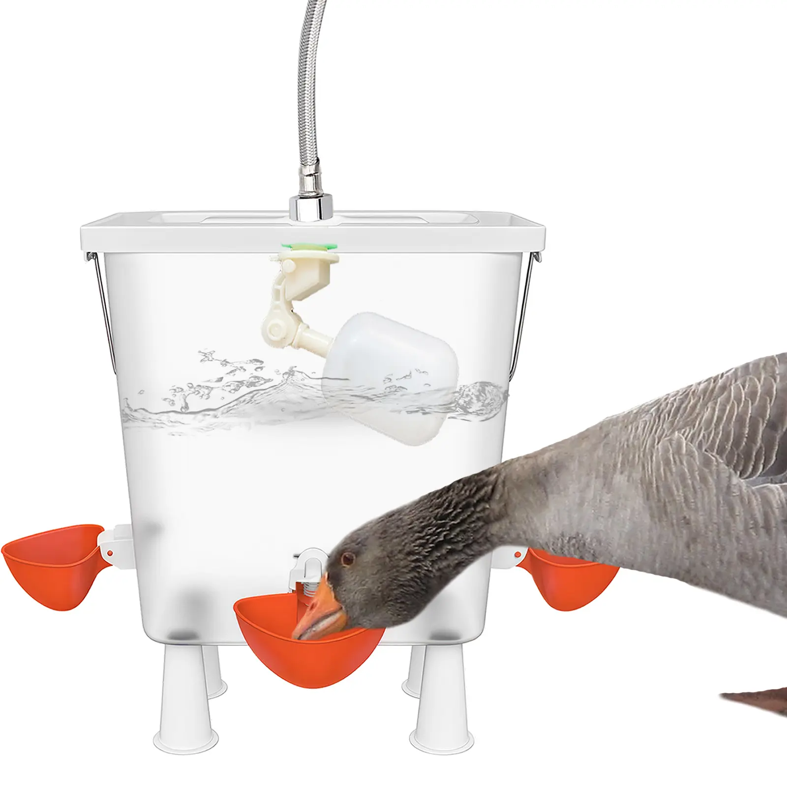 Automatic Chicken Waterer - Polypropylene 1 Automatic Poultry Waterer Bucket, 1 Bucket with Float-Controlled 0-Waste Drinking Cups, 3/4" Garden Hose, 31.5in Hose, Easy-Setup Backyard Poultry Supplies