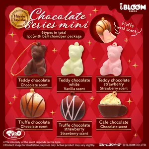 iBloom Squishy Chocolate Series Mini Blind Box Kawaii Soft Scented Slow Rising Stress Relief