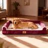 PAWPUBBY Extra Large Orthopedic Memory Foam Dog Bed for Large Breeds - Nylon Mesh Cover, Waterproof Bolster Design, Chew Resistant Barrier, Washable, Joint Relief, Snap Feature, Ideal Pet Mother's Day Gift (Summervibes Deals)