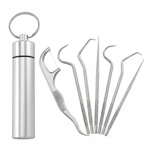 7-Piece 304 Stainless Steel Dental Pick Set, Portable Reusable Tooth Cleaning Tools with Keychain Case, for Deep Plaque & Tartar Removal in Oral Hygiene Trendy Anatomy Decoration Doll