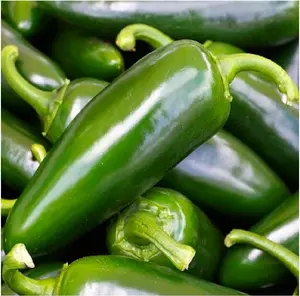 200pcs Pepper Seeds Non-GMO Garden Seeds