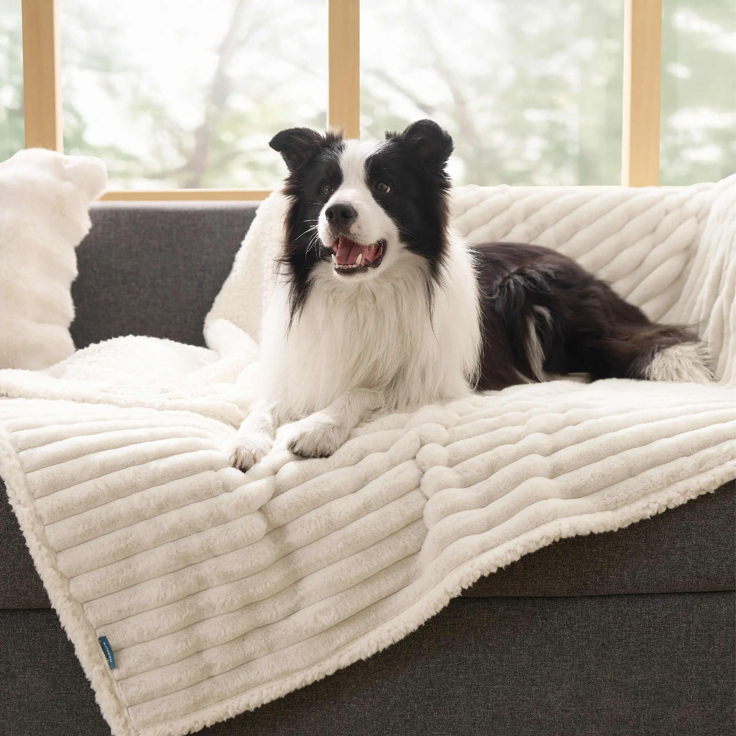 Bedsure ComfyFleece Waterproof Comfy Dog Blankets for Large Dogs - Soft Pet Cat Blanket Corduroy Fleece for Couch Bed Protector Washable, Cozy Calming Reversible Furniture Protection for Puppy,Deals For You Days