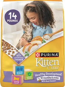 Kitten Chow Dry Cat Food