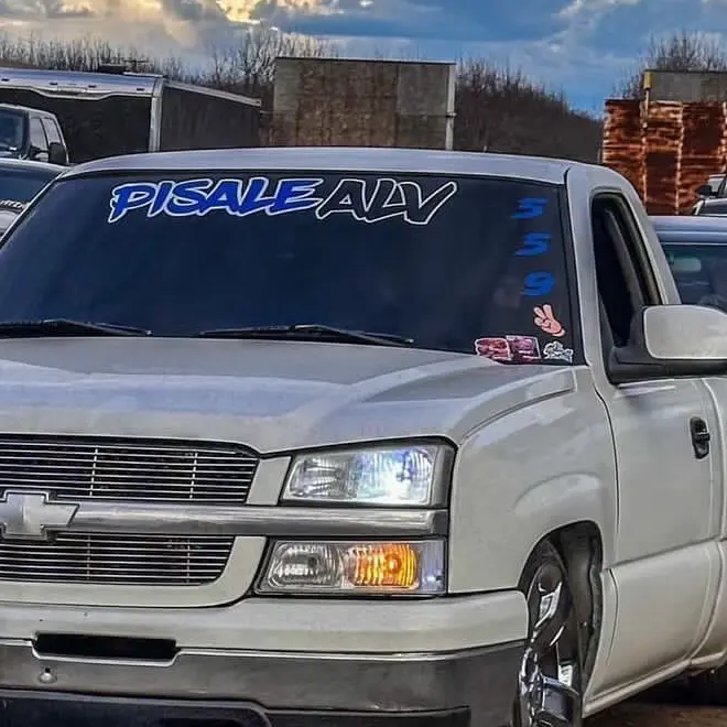 Pisale ALV windshield banner 36”