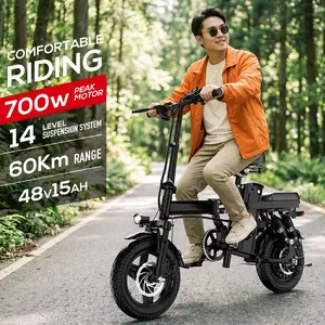 Adult Electric Bicycles Foldable 20mph Commuter Ebike with Detachable Battery Lightweight Folding Ebike 500W 48V 15AH 16 Stage Damping