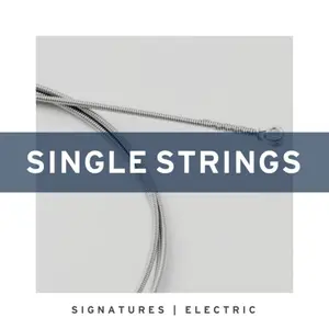 Stringjoy Single String Signatures - Nickel Wound Electric Guitar Strings