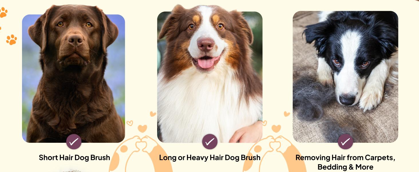 SleekEZ Dog Brush for Shedding & Dog Grooming Supplies |   Pet Hair Removal Tool |   Great For All Fur Types |   For Short, Medium, & Long Hair Pets |   Reduces Shedding by 95% |   Made in USA |   5 inch