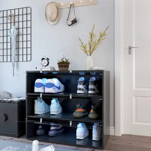 Shoe Cabinet with Black Glass Door Shoe Storage Cabinet  With LED Light