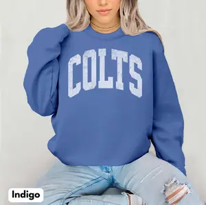 [Sale Up To 30%] + [Free Ship] Colts Sweatshirt Distressed Print Sweatshirt Vintage Football Crewneck, Gift For Football Fans, Gift For Her, Gift For Him