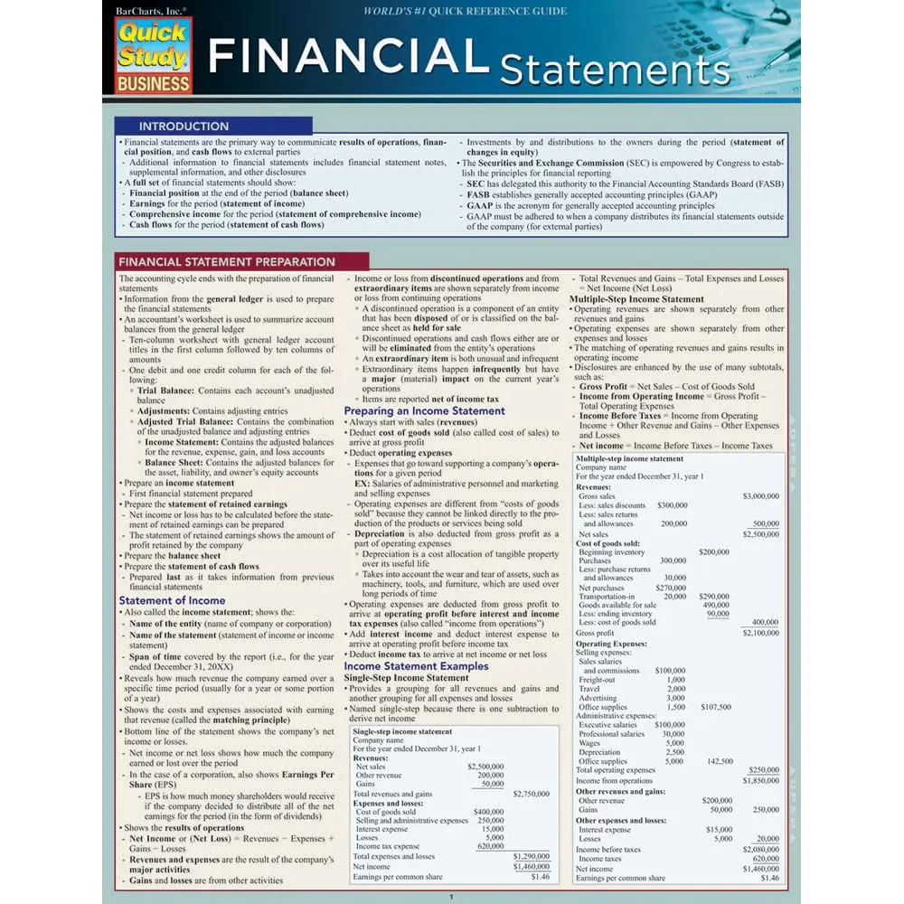 Financial Statements QuickStudy Laminated Reference Guide (QuickStudy Business)