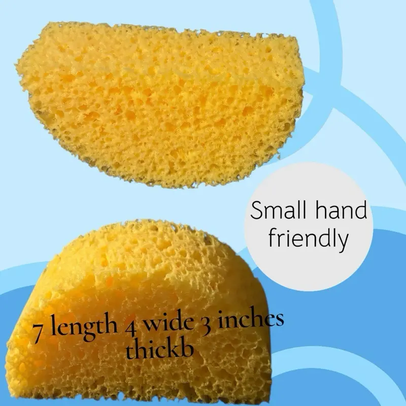 Textured sponge half moon shape squeezes smaller hand friendly use Asmr and cleaning