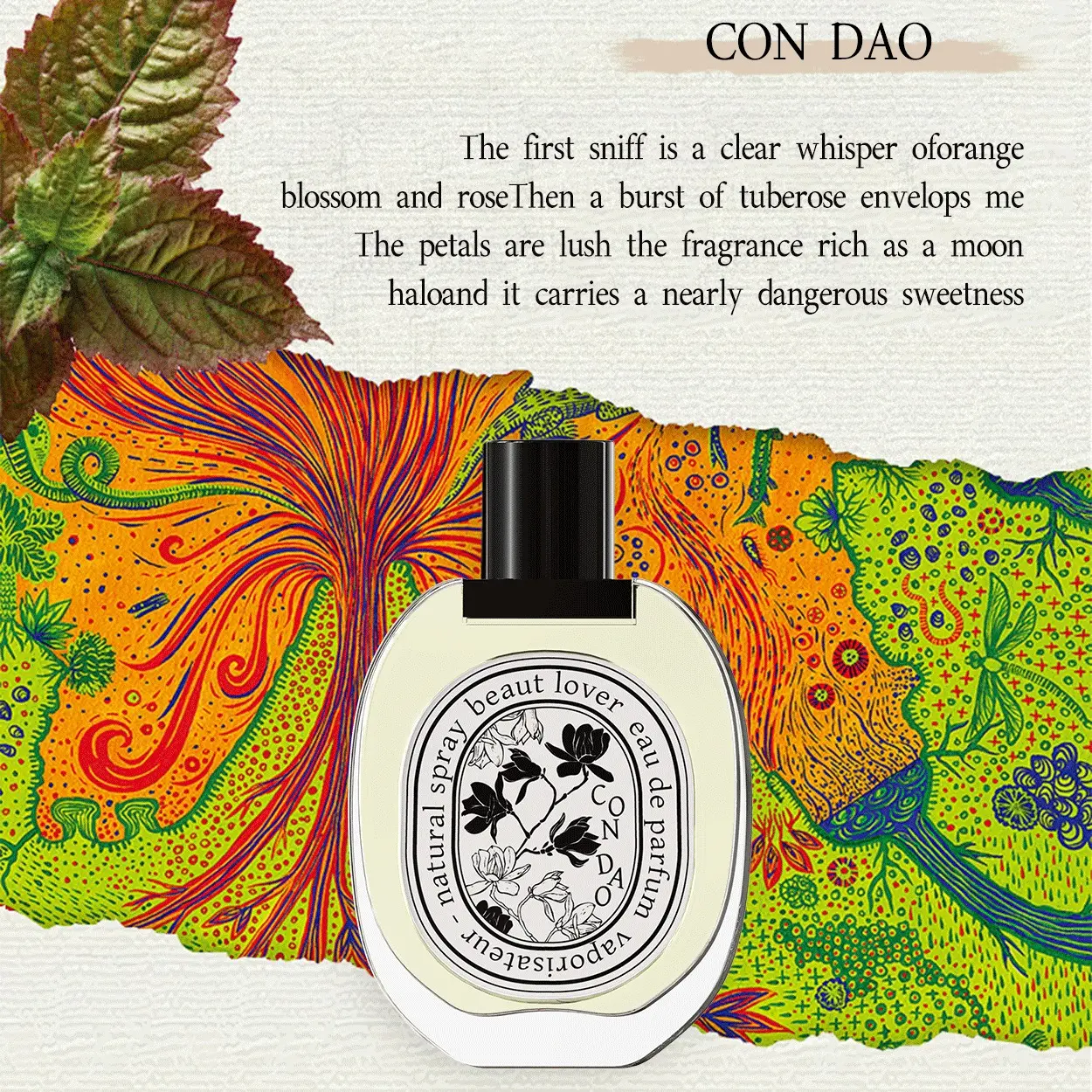 Unisex Con Dao EDP Perfume Spray, 49ml Long Lasting Fragrance - Aquatic Floral Scent with Top Notes of Orange Blossom, Jasmine, Seawater, Pink Pepper & Sandalwood Base Note, Ideal for Outdoor Fun & Night Events, Base Unisex Fragrances, Perfumes, Long Last