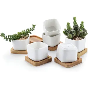 2 Inch Small White Succulent Planter Pots with  Tray Square Set of 6, Ceramic Flower Pots Cactus Air PlantContainers,Succulent  Gifts for Women Coworker, Modern  and Office Decor
