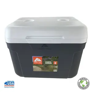 30 Quart Hard Side Cooler, 42-Can Capacity, Gray