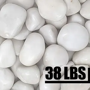 38LB White Polished River Rocks - Natural Smooth Spherical to Oval Decorative Stones, 2-3 Inch Aquarium Gravel, Vase Filler & Landscaping Pebbles for Fish Tank, Garden, Home Decor - Safe for Aquatic Life, Durable & Easy to Clean, Uniform White Color for C