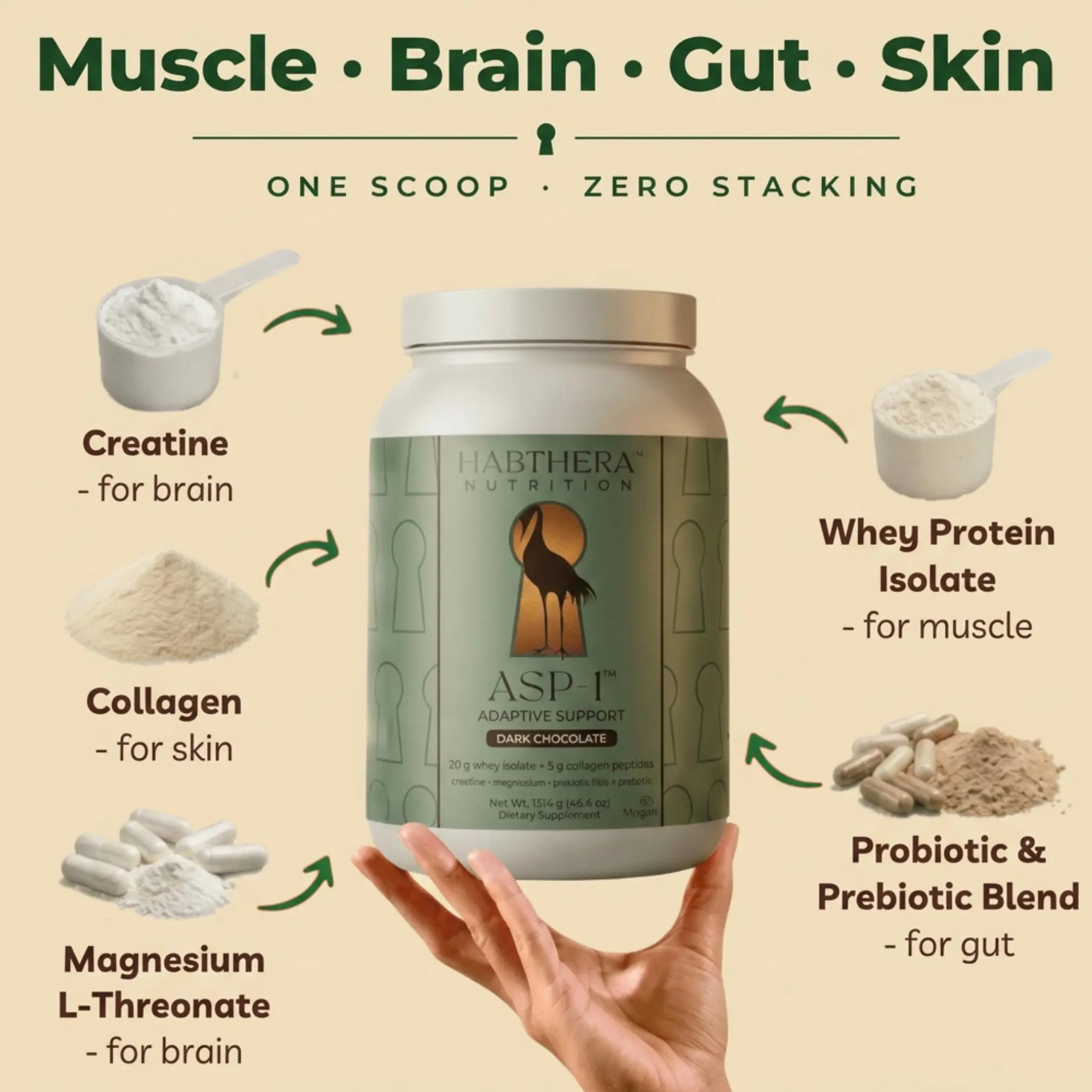 ASP-1 Adaptive Support Powder by Habthera Nutrition